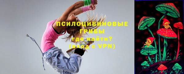 стафф Горняк