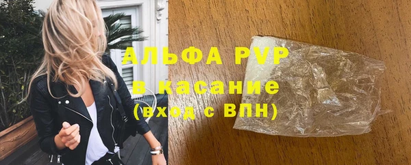 шишки Горно-Алтайск