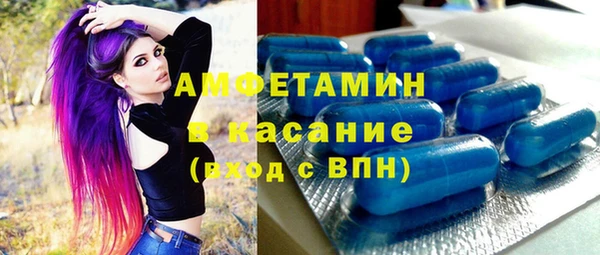 шишки Горно-Алтайск