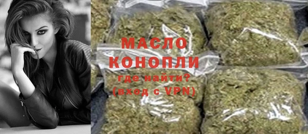 мдпв Михайлов